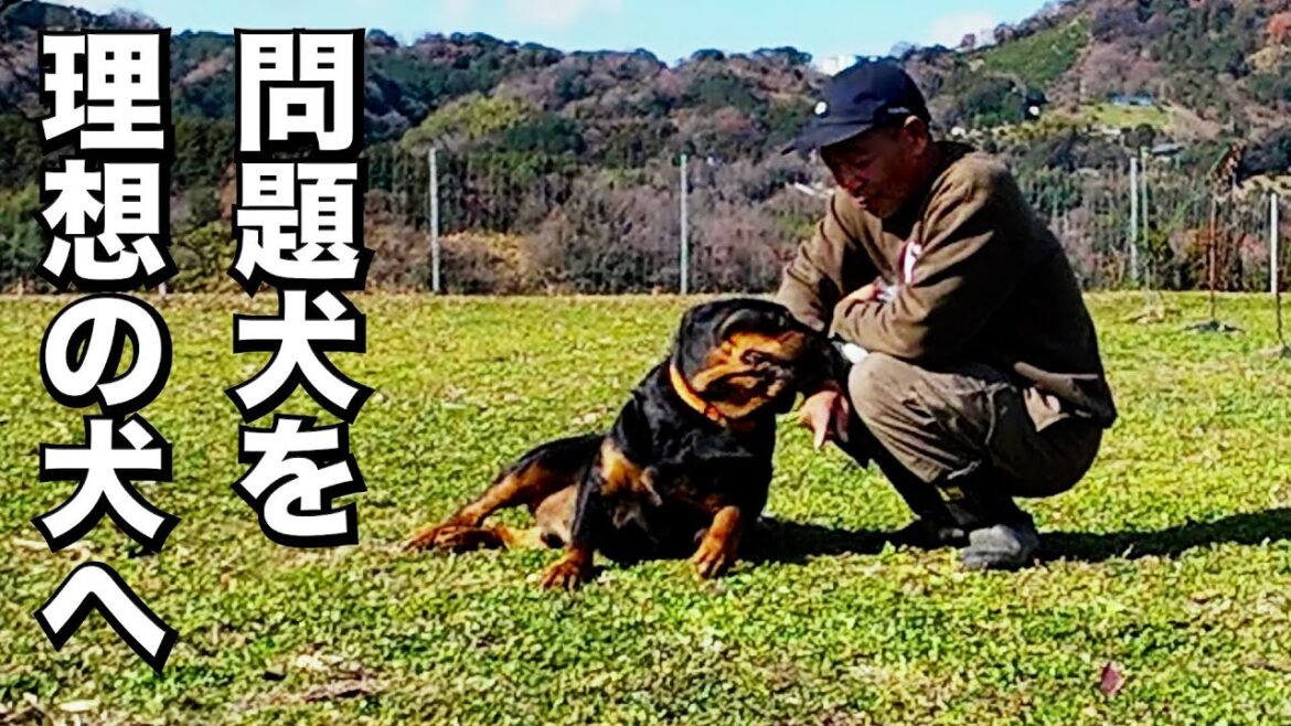 【理想のドッグライフ】自分の色に染める事です！