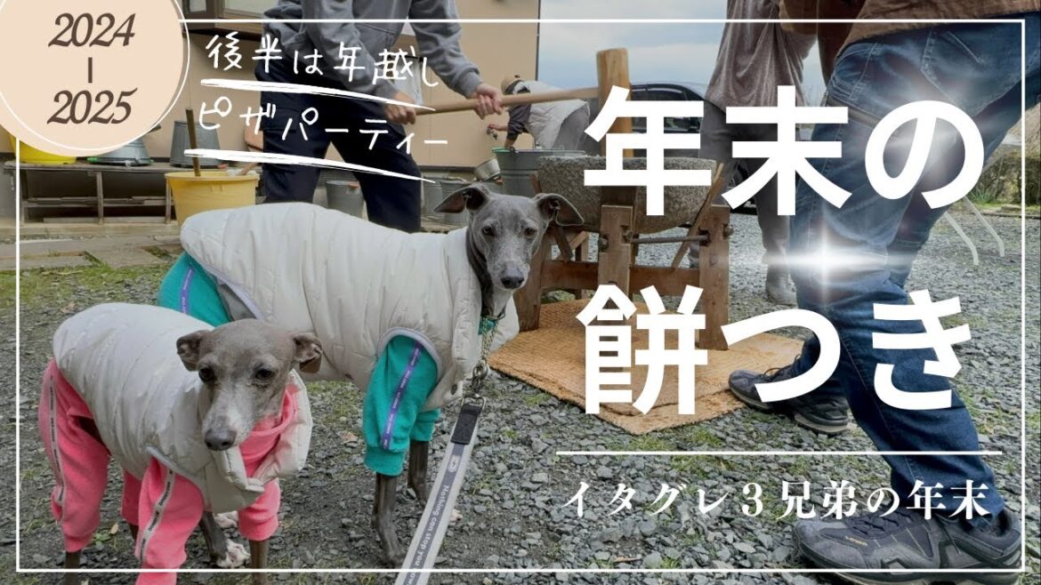 【イタグレ】年末の餅つきと年越しピザパーティー