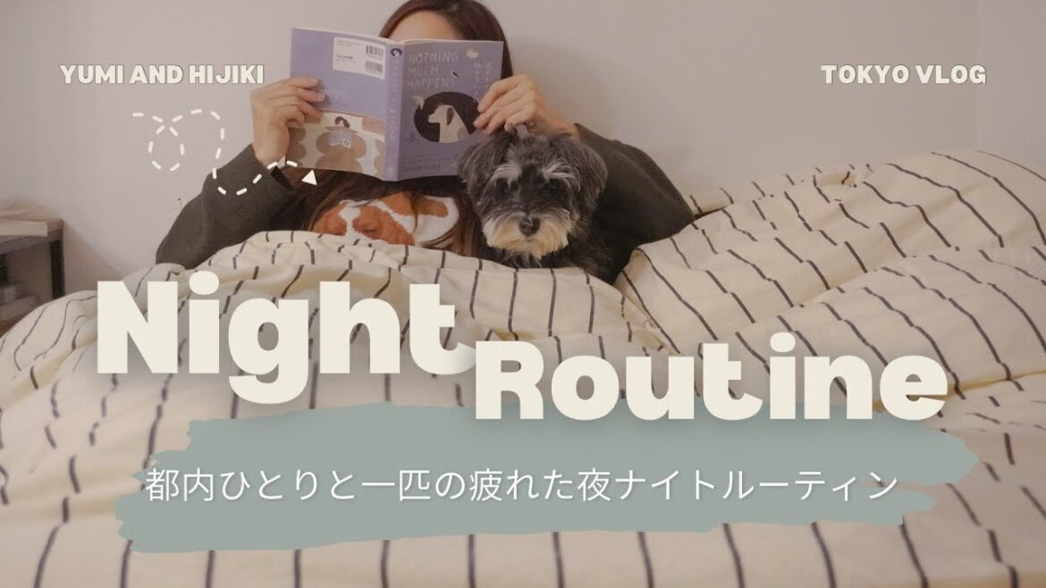 【ナイトルーティン】東京一人暮らし フリーランスが愛犬と暮らす夜の過ごし方 night routine living alone 【ナイトルーティン】東京一人暮らし フリーランスが愛犬と暮らす夜の過ごし方 night routine living alone