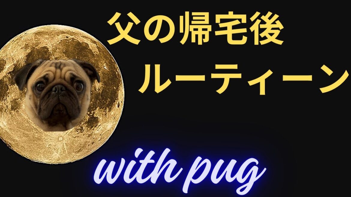 仕事帰りの父とパグのルーティーン
