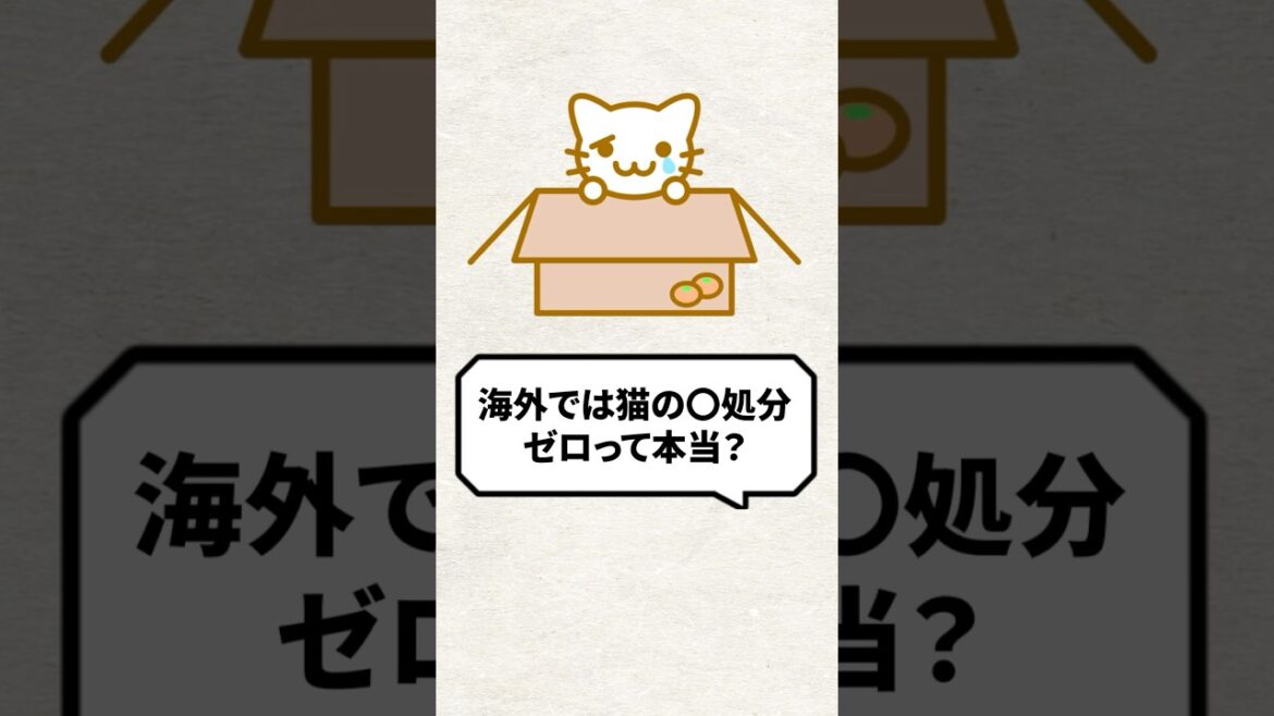 Q：海外では猫の◯処分ゼロって本当？ #猫 #保護猫 #ねこ
