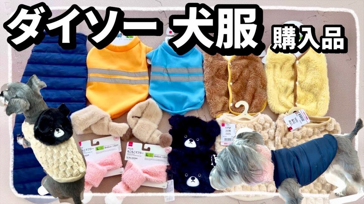 ダイソーの冬用犬服がクオリティー高くておすすめ！