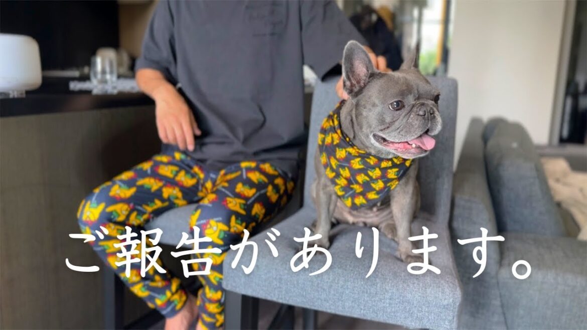 【ご報告】誰にも相談できず愛犬とふたりで挑戦してみたことがあります。 【ご報告】誰にも相談できず愛犬とふたりで挑戦してみたことがあります。