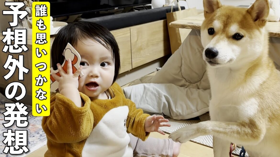 柴犬もパパもびっくりする１歳児の発想力がすごすぎました…
