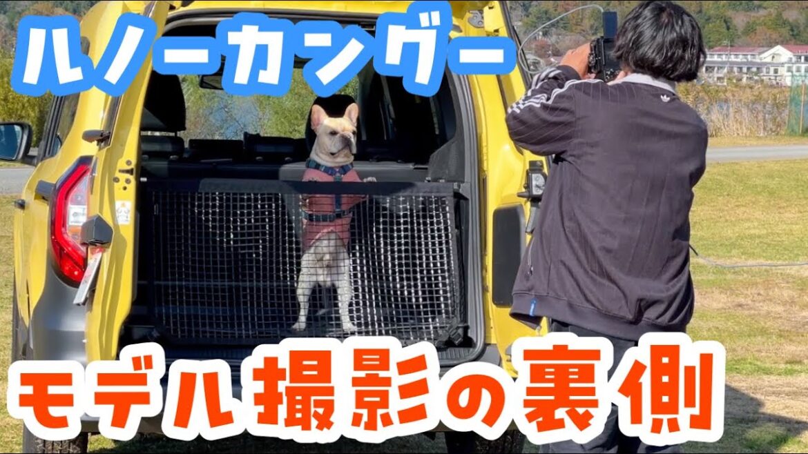 【ルノー カングー】オフィシャルサイトのモデル撮影をしたよ!フレンチブルドッグのルーク【Luke VLOG #152】 【ルノー カングー】オフィシャルサイトのモデル撮影をしたよ!フレンチブルドッグのルーク【Luke VLOG #152】
