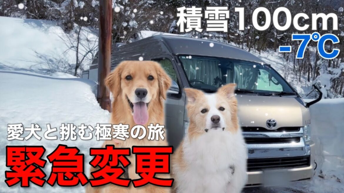 【緊急変更】愛犬と挑む極寒の旅…雪で断念し向かった“救いの場所”とは…【ゴールデンレトリバー•ボーダーコリー】 【緊急変更】愛犬と挑む極寒の旅…雪で断念し向かった“救いの場所”とは...【ゴールデンレトリバー•ボーダーコリー】