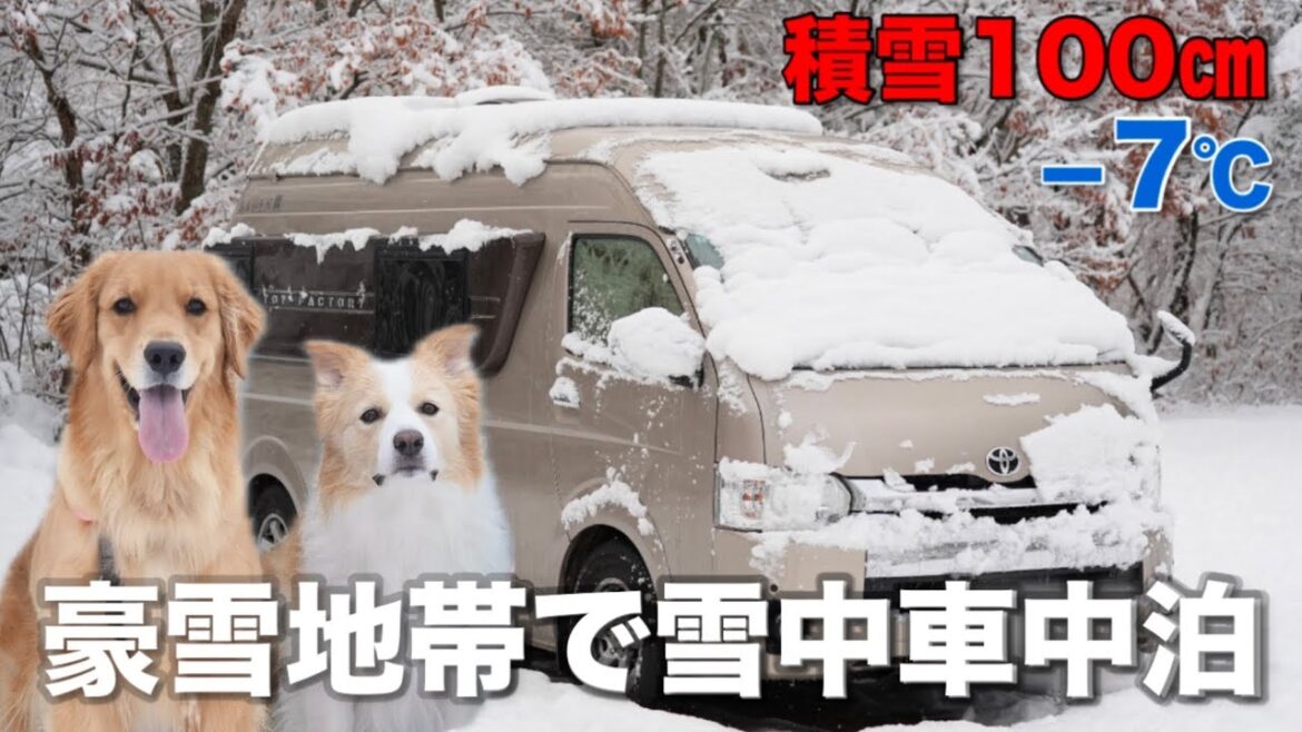 極寒キャンプ場でトラブル続出…かまくらを作ったら天井が落ちてきた【ゴールデンレトリバー•ボーダーコリー】 極寒キャンプ場でトラブル続出...かまくらを作ったら天井が落ちてきた【ゴールデンレトリバー•ボーダーコリー】