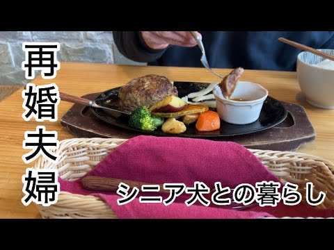 アパート暮らし! 中年再婚夫婦の休日 トイプードル/再婚夫婦 アパート暮らし! 中年再婚夫婦の休日 トイプードル/再婚夫婦