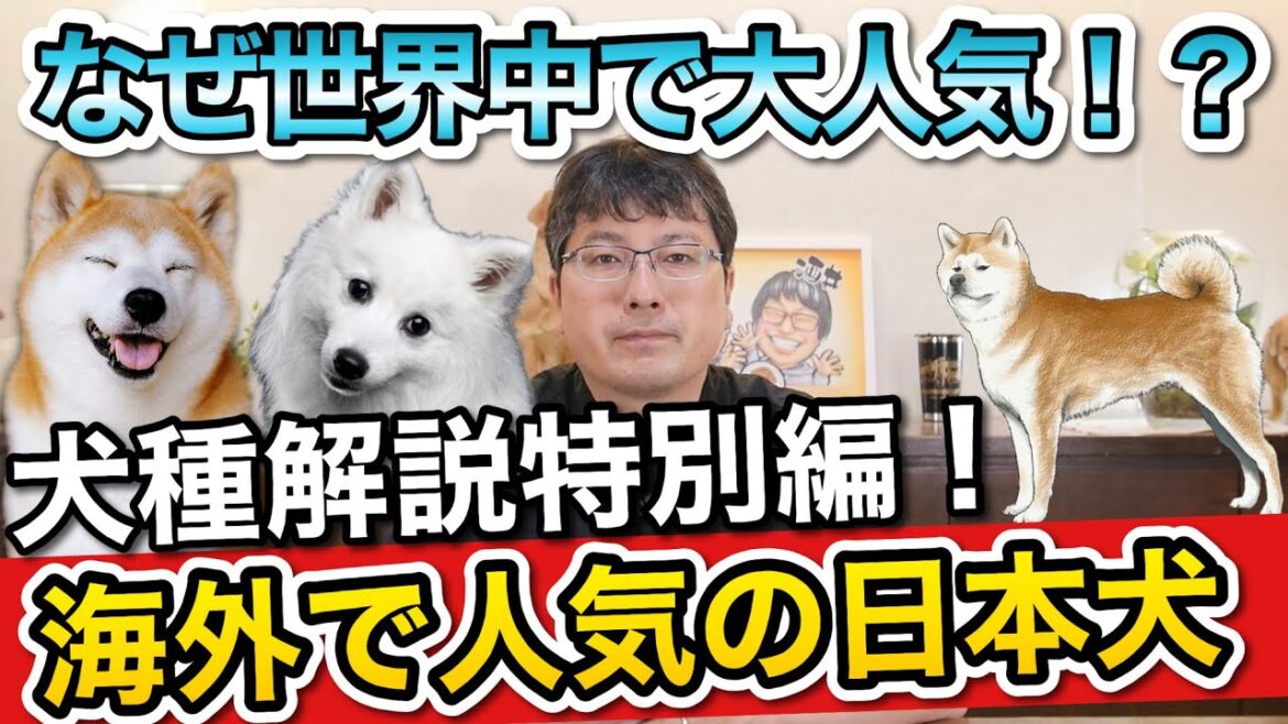 【犬種解説特別編】世界で人気の日本犬種をペットショップ店長が解説します！