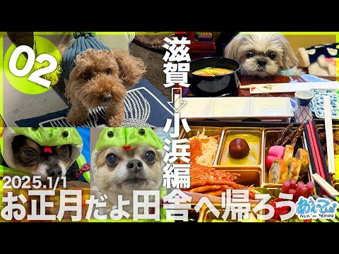 【2025.1/1】お正月だよ田舎へ帰ろう シーズー犬てんぽvol.02 【2025.1/1】お正月だよ田舎へ帰ろう シーズー犬てんぽvol.02