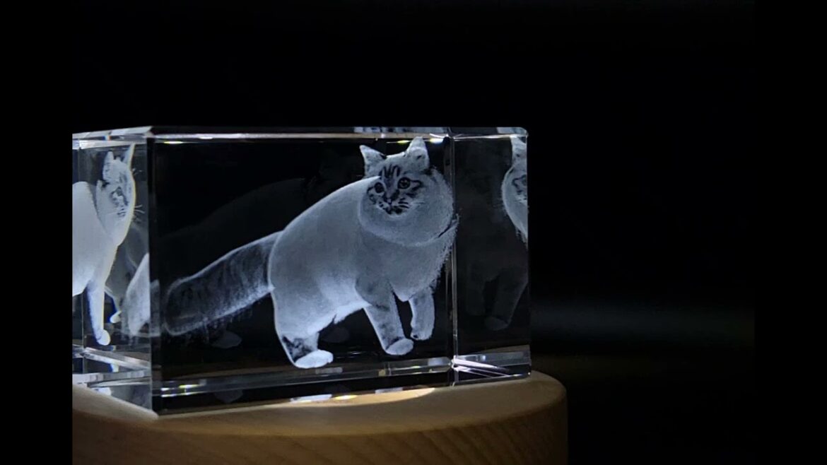 Birman Cat Engraved Crystal Gift | Unique Crystal Statue - FSCAT14