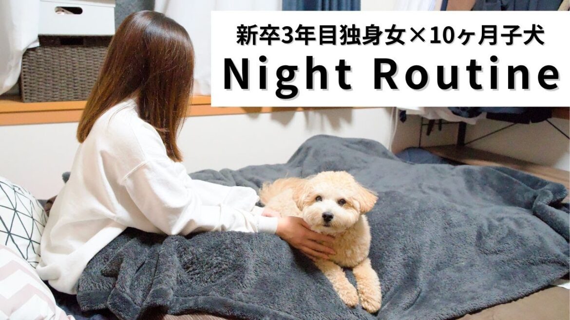 犬を愛する飼い主と飼い主を愛する犬のイチャイチャナイトルーティン【6.5kgでかマルプー】 犬を愛する飼い主と飼い主を愛する犬のイチャイチャナイトルーティン【6.5kgでかマルプー】