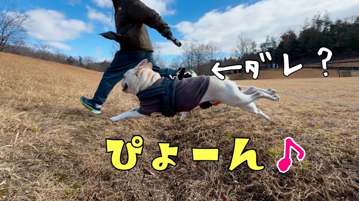 内耳炎再発から10日！みんなで元気に小川ジャンプしてきましたｗｗ