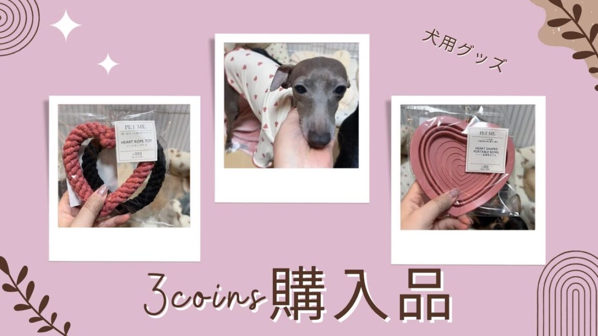 【購入品紹介】3coinsで可愛い犬グッズ発見！