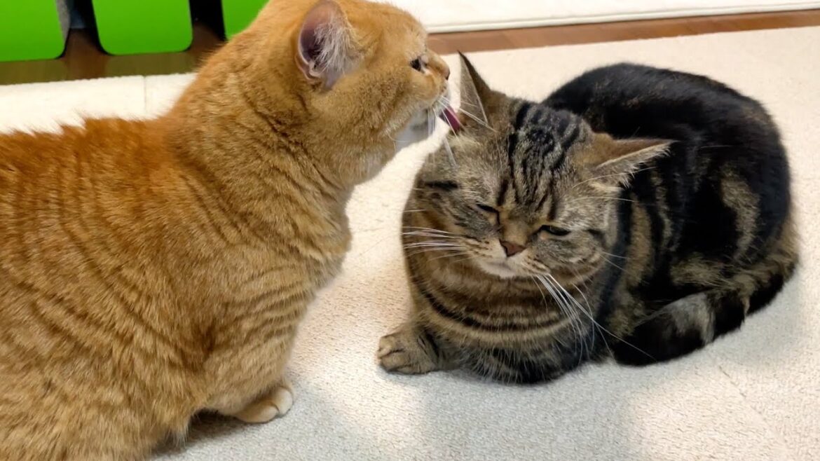 「んぁ〜、甘えてんのぉ？」