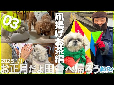【2025.1/2】お正月だよ田舎へ帰ろう シーズー犬てんぽvol.03 【2025.1/2】お正月だよ田舎へ帰ろう シーズー犬てんぽvol.03