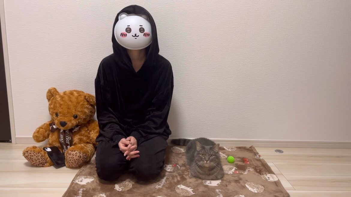 緊急で撮影しております