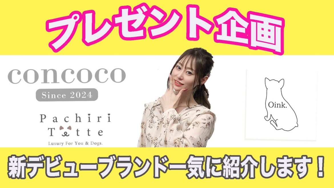 【プレゼント企画】新デビューブランド一気に紹介します♪