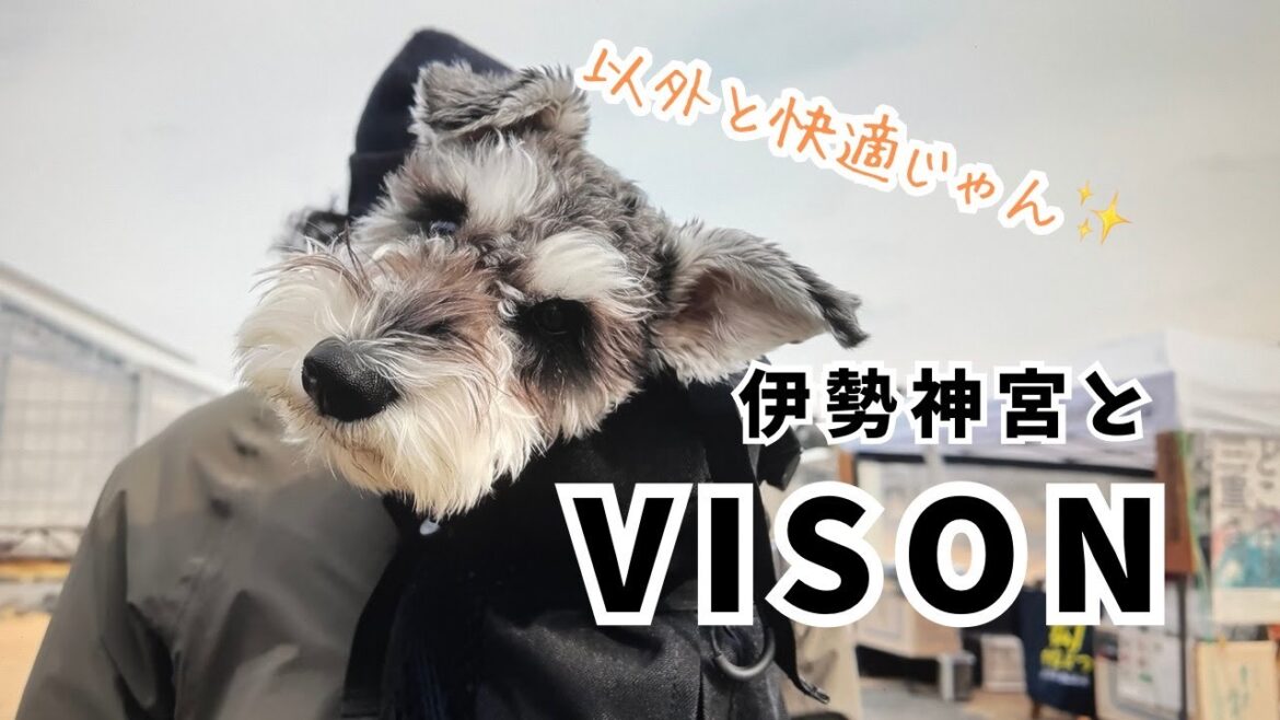 【愛犬とお出かけ】カメラと愛犬のご機嫌が悪かった伊勢神宮参拝と両方のご機嫌が治ったVISONそんなこんなな三重県旅