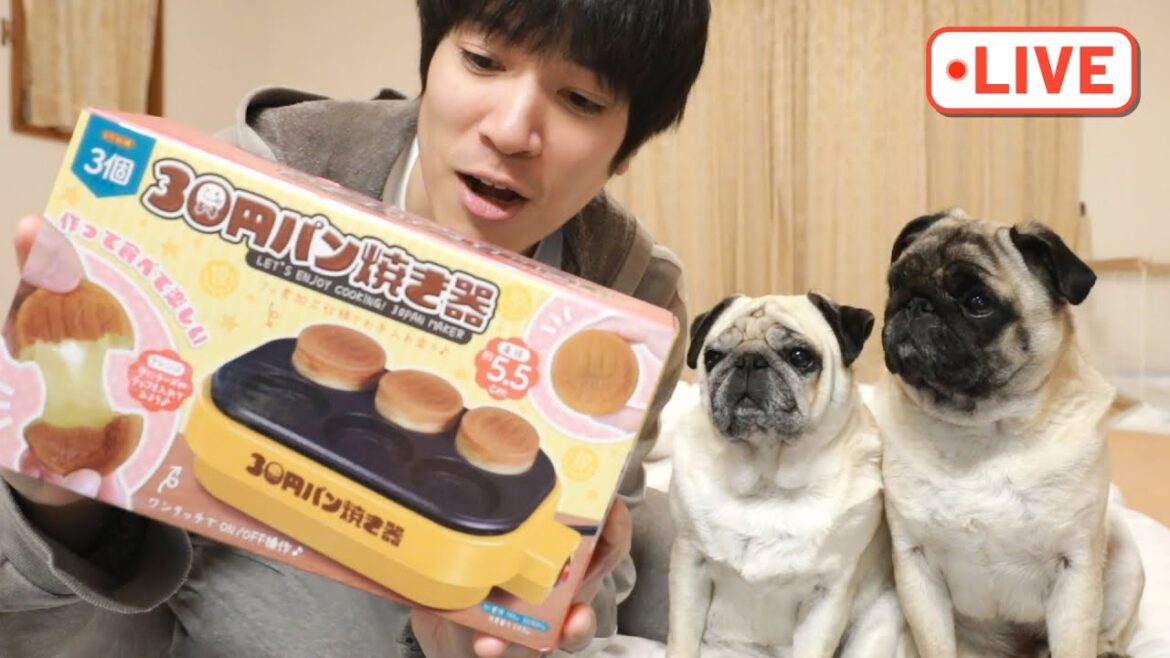 🔴福袋に入ってた『30円パン焼き器』で犬が喜ぶパンケーキを作る生配信！