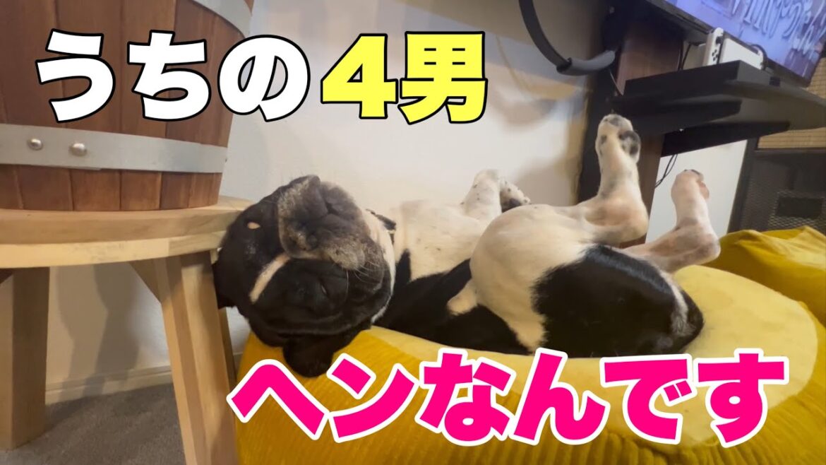 超個性的なわが家のヘンテコな4男坊を見てくださいｗ