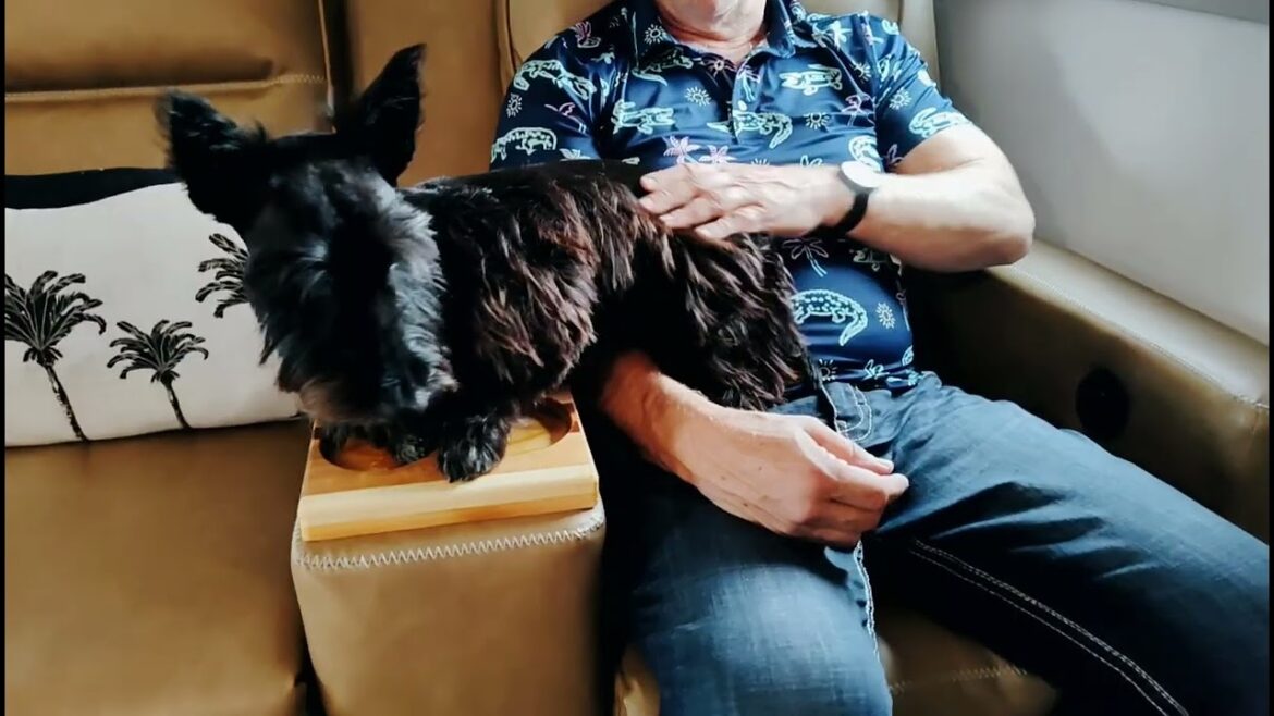 None of Walter's Groomers Like Him