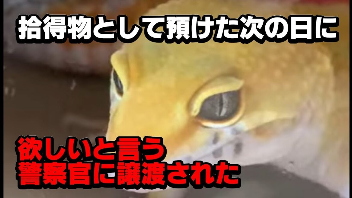 【所有権を無視し、警察内部で欲しい人に譲渡された】【警察の対応が腑に落ちない】★１７９回目★