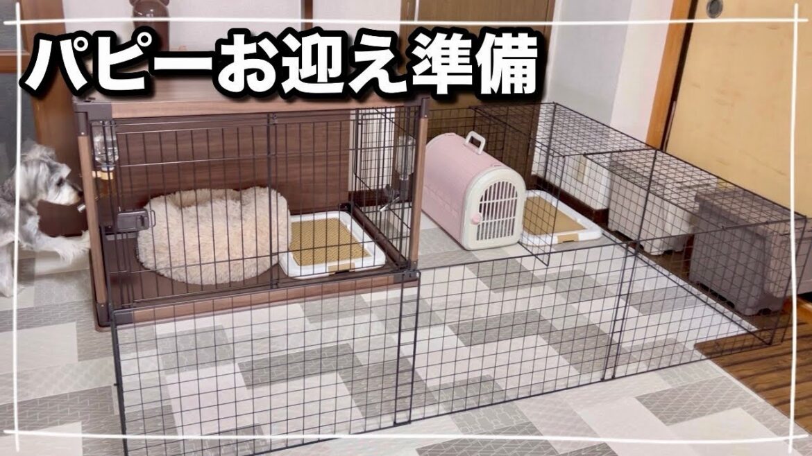 【ダイソーDIY】ワイヤーネットで子犬のケージ増築 【ダイソーDIY】ワイヤーネットで子犬のケージ増築