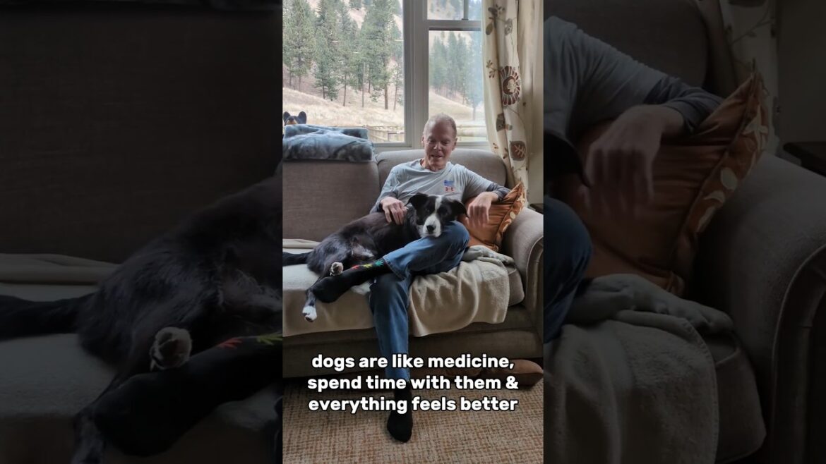 the best medicine (besides vaccines!)