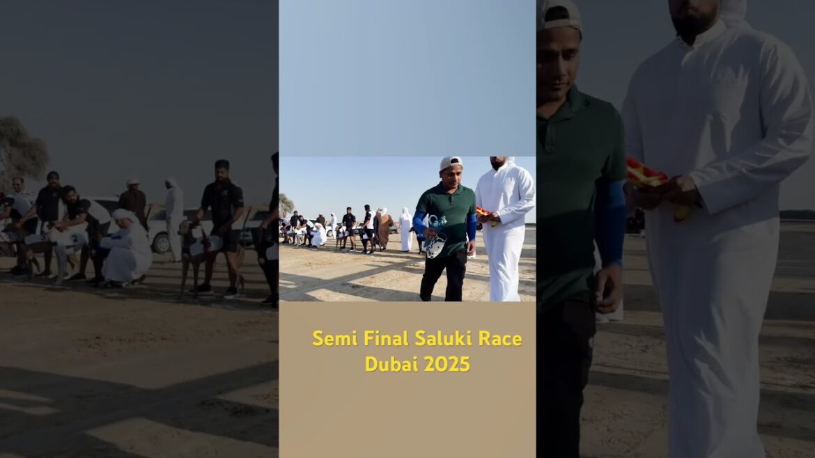 Dubai Saluki Racing