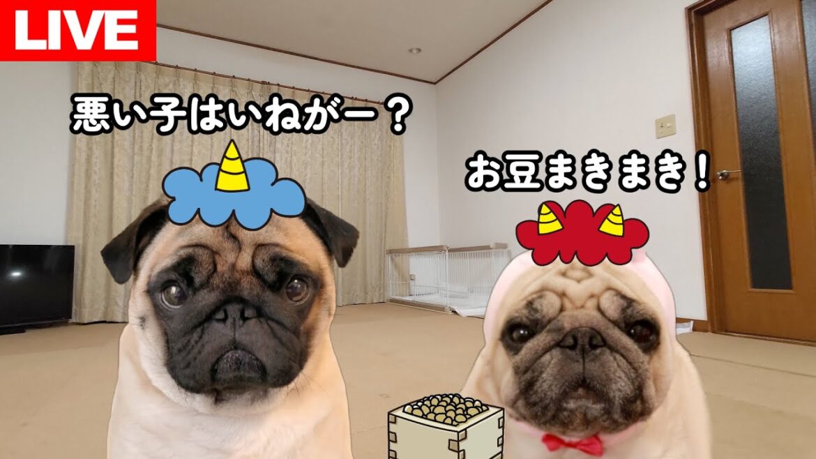 🔴節分LIVE！初めて恵方巻を作って２月２日になったら食べて豆まきします
