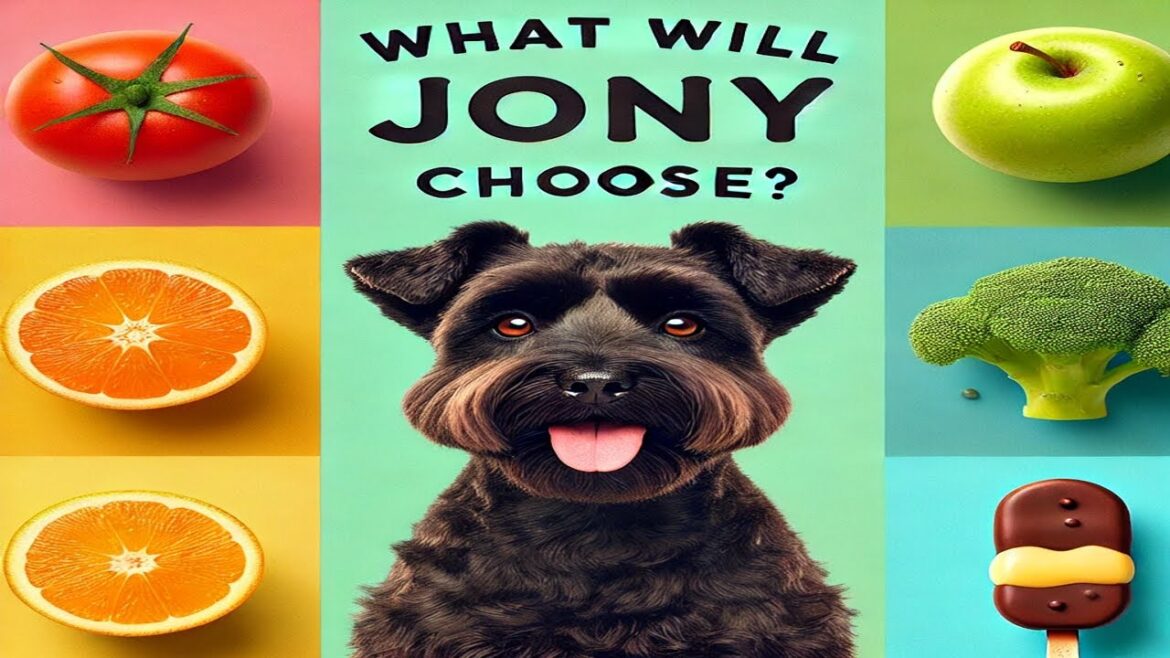 The Ultimate Challenge for Jony! 🐾🍦