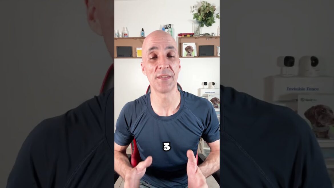 Top 5 Dog Breeds from Africa #shorts #trending