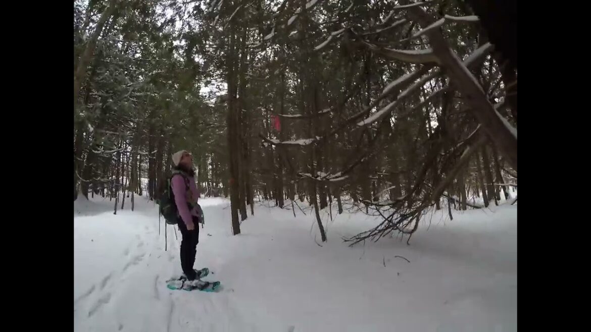 Snow-shoeing at Wye-Marsh Wildlife Centre - Graham MacDonald Snowshoe Trail.