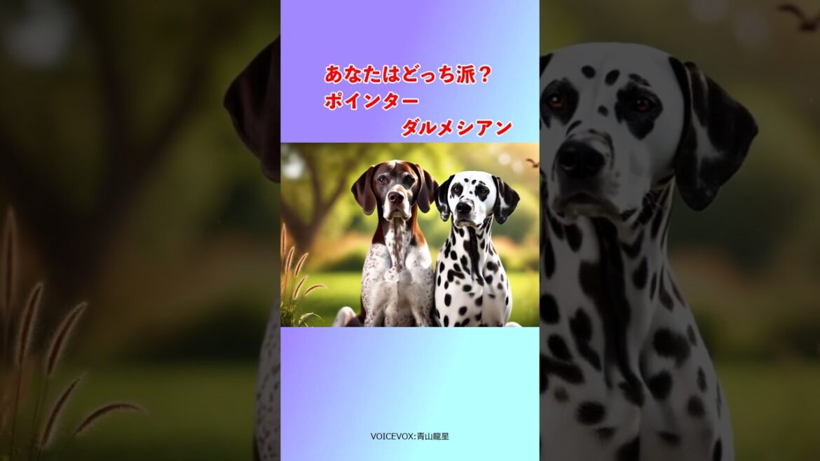 どっち派？ポインターorダルメシアン　#雑学 #雑学豆知識 #1分雑学 #豆知識