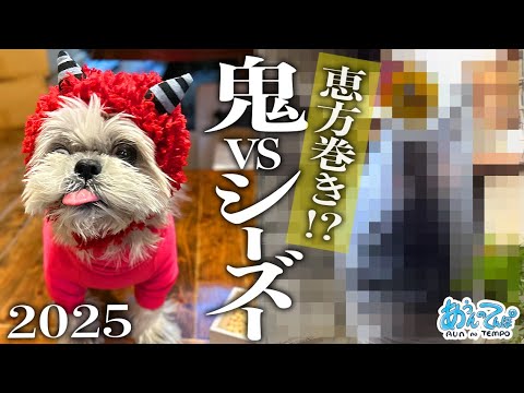 【黄鬼vs犬】我が家のカオスな節分が今年もひどすぎる…2025 【黄鬼vs犬】我が家のカオスな節分が今年もひどすぎる…2025