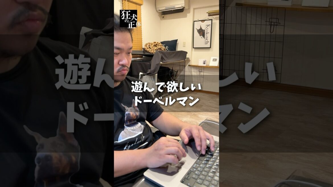 パパと遊びたいドーベルマン