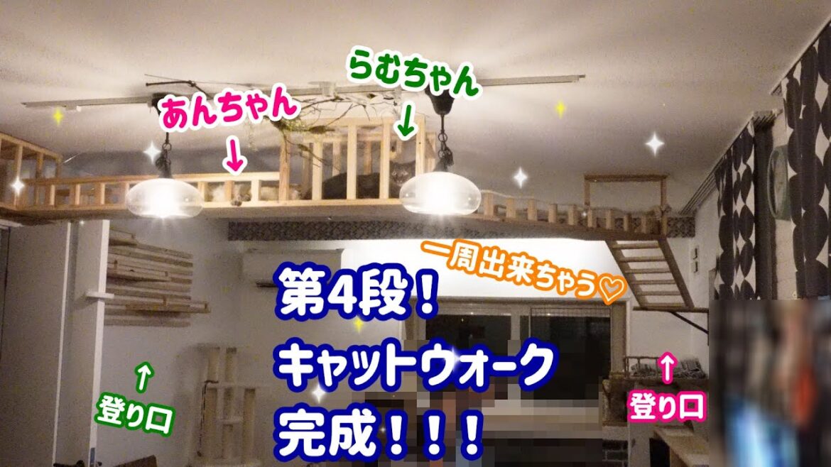 DIY第4弾！天井にキャットウォークを作って部屋を一周してもらいたい！#515