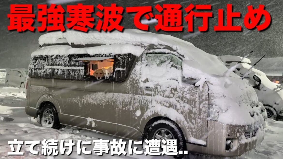 【最強寒波で大雪警報】犬と軟禁状態の車中泊.. 【最強寒波で大雪警報】犬と軟禁状態の車中泊..