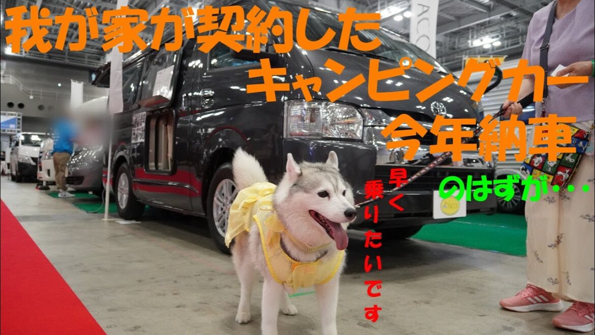 さくらとキャンピングカー　その後　【シベリアンハスキー　タコス3B】