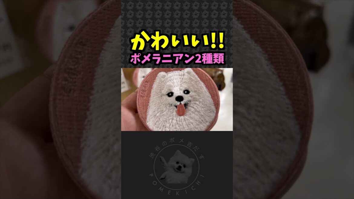 ポメラニアンのキーホルダー🐶💕 #ポメ ポメラニアンのキーホルダー🐶💕 #ポメ