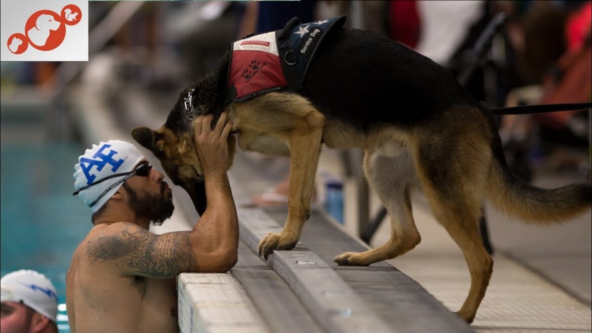 🐕 Best Therapy Dogs - TOP 10 Best Therapy Dog Breeds In The World!