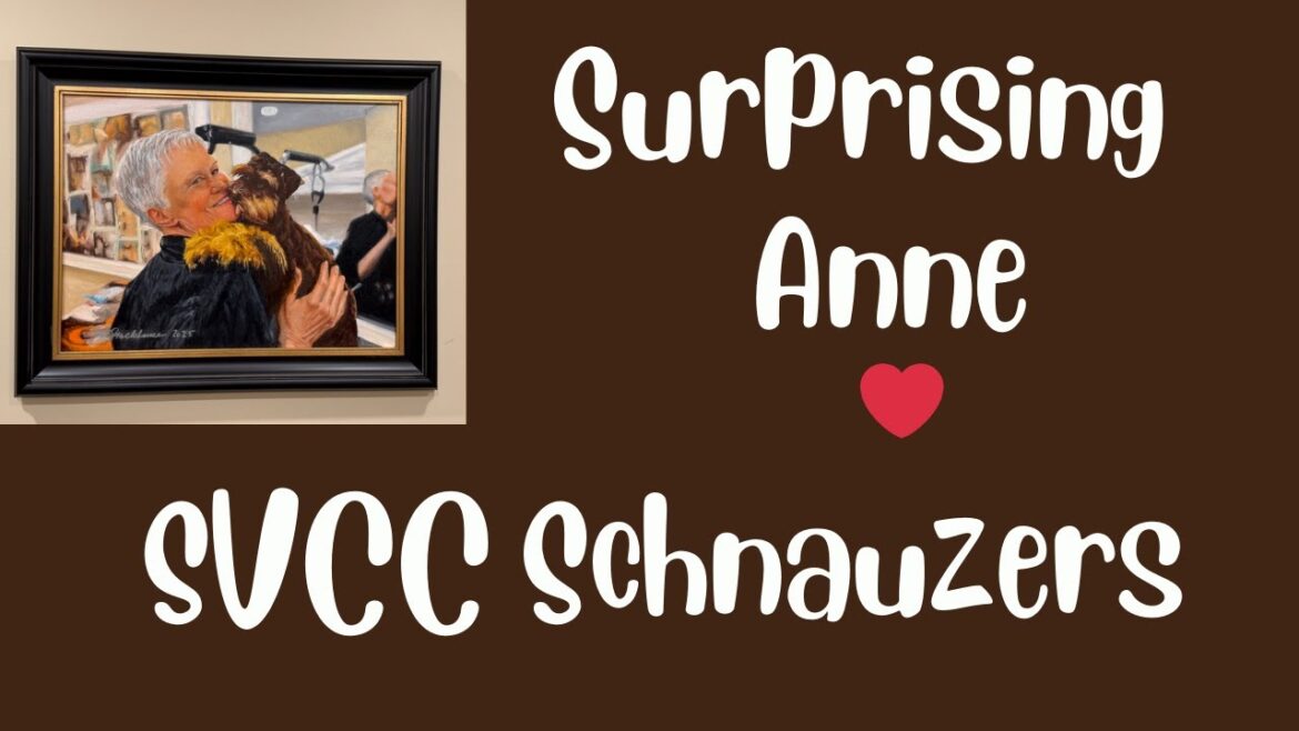 Surprising Anne ❤️ SVCC Schnauzers & Melanie Stackhouse