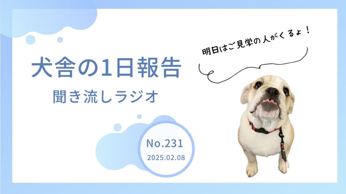 【音声動画】第231回 実はきなこの帝王切開が早かったお話🐶💦 【音声動画】第231回 実はきなこの帝王切開が早かったお話🐶💦