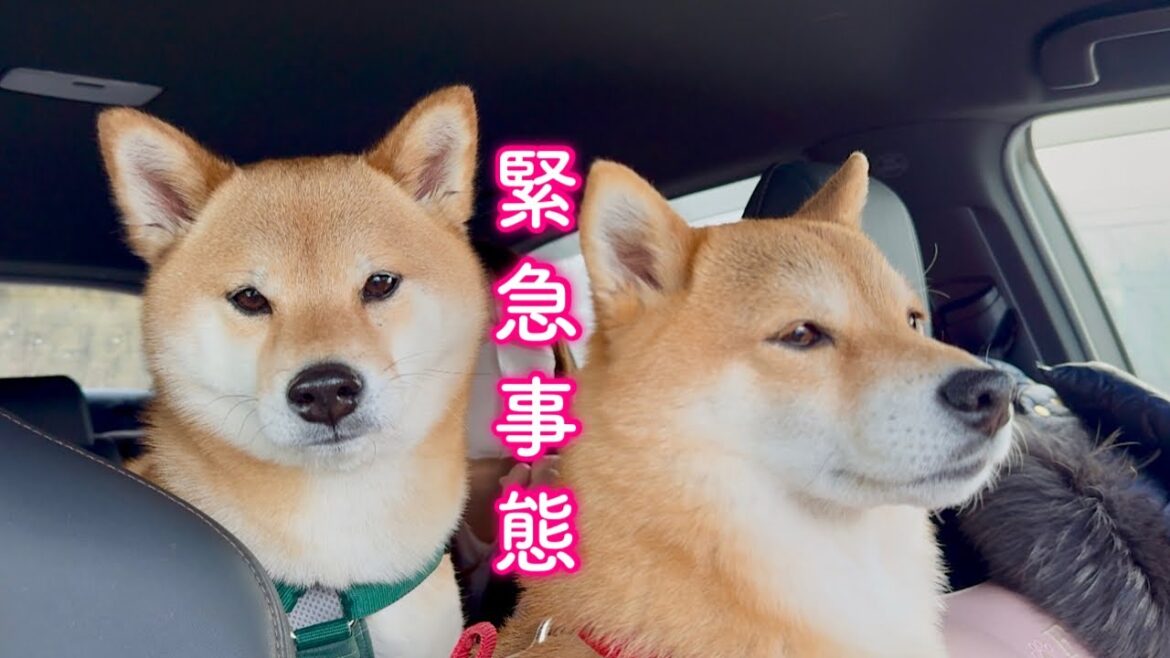 旅行先でまさかの想定していなかった最悪の事態が起きました