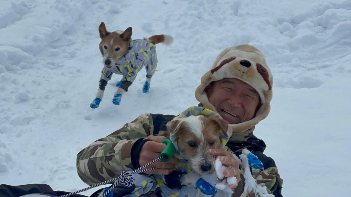 結婚記念日旅行　乗鞍でスノーシューと氷見の寒ブリ食べて雪遊び　2025 2 9～2 11