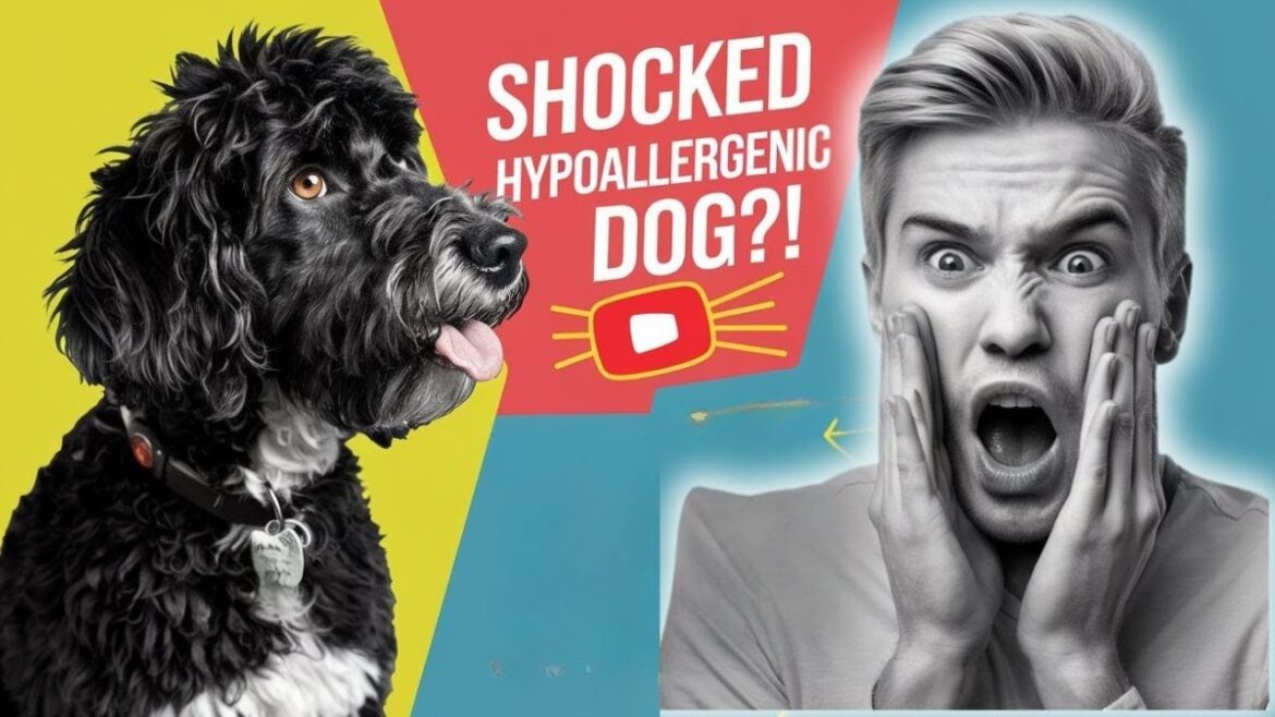 5 Dog Breeds That Are Surprisingly Hypoallergenic