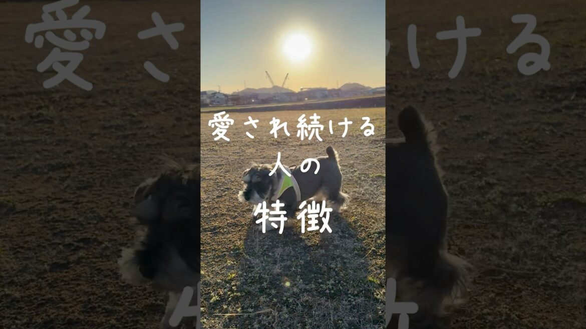 【ミニチュアシュナウザー】レミオの備忘録#名言集 #格言集 #言葉の力 #言霊 #ミニシュナ部 #ミニチュアシュナウザー #犬のいる生活 #犬 #シュナウザー #犬好きさんと繋がりたい