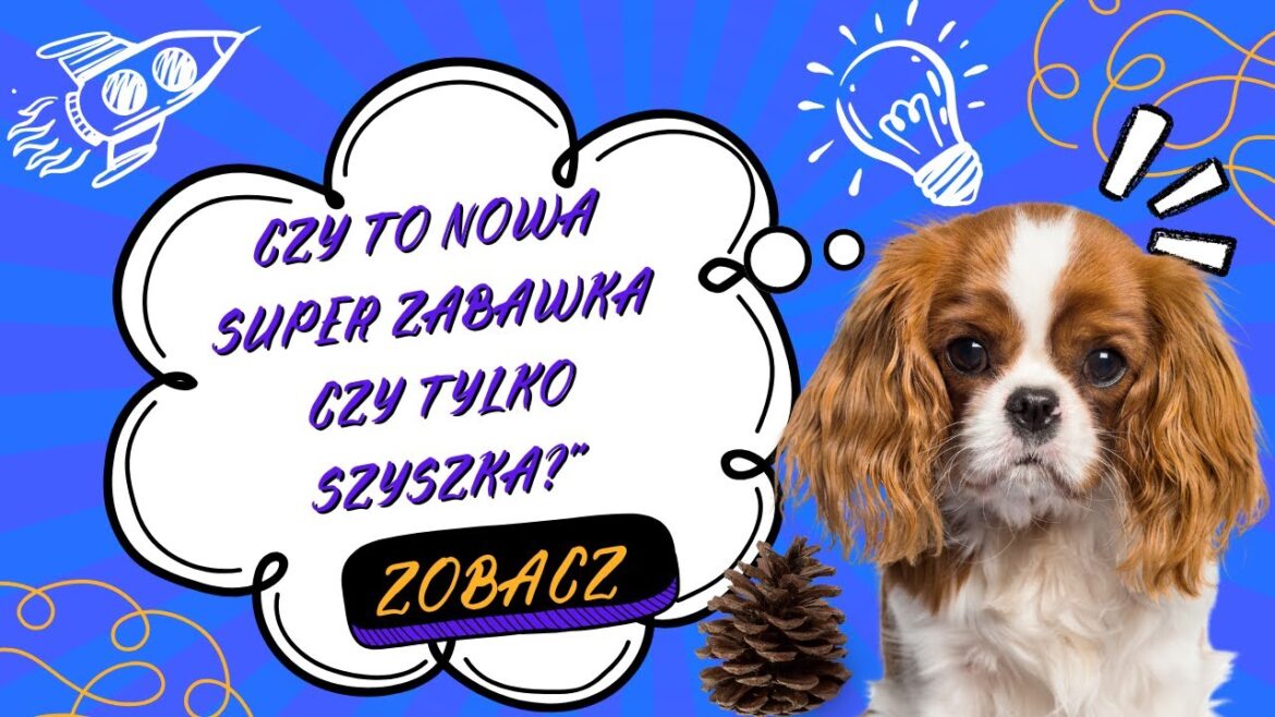 🐶 Słodki Szczeniak Odkrywa Szyszkę po Raz Pierwszy! 🤩💖 🐶 Słodki Szczeniak Odkrywa Szyszkę po Raz Pierwszy! 🤩💖