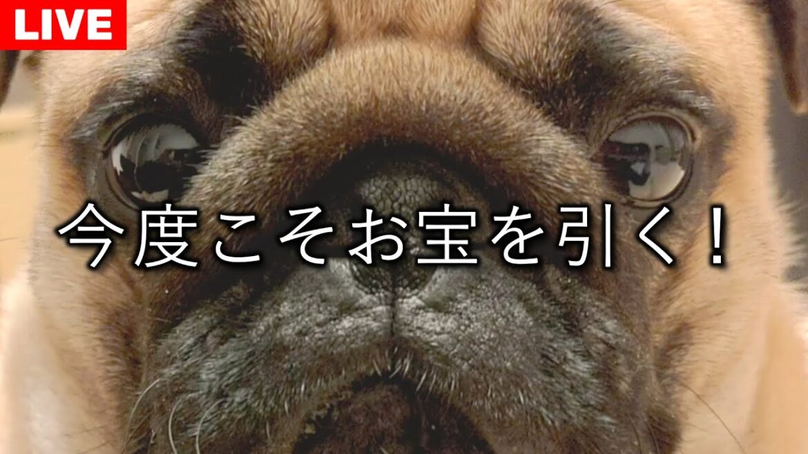 【生配信】残り2袋!最後の福袋を開封します 【生配信】残り2袋!最後の福袋を開封します